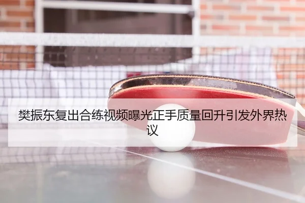 樊振东复出合练视频曝光正手质量回升引发外界热议